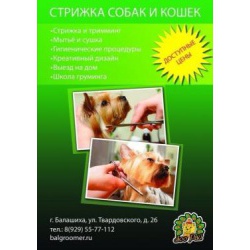 стрижка собак и кошек Балашиха Зоосалон Зоо Рай