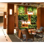 Вертикальное озеленение в помещениях