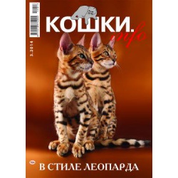 Бенгальские котята золотые