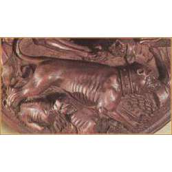 Южноафриканский бурбуль