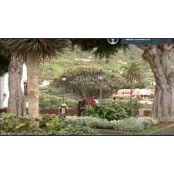 Поденко канарио