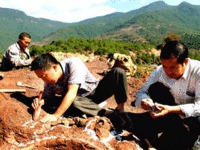 Китайская провинция Юннань стала источником палеонтологической сенсации.