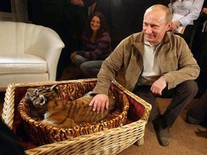 В сентябре текущего года в Санкт-Петербурге пройдет международная конференция по защите редких животных.