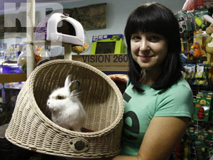 Кошку в зоомагазине мы не нашли, поэтому на время поселили в ее домик… кролика! Фото: Александр ЧЕРНЫХ