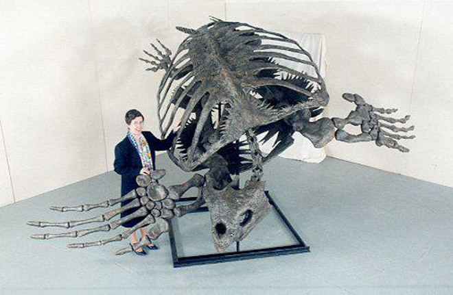 Размеры ископаемой черепахи Archelon ischyros