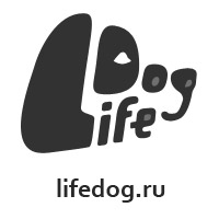 Социальная сеть для собак