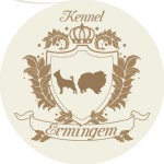 Ermingem Kennel Казань лого