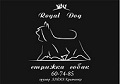 зоопарикмахерская "Royal Dog" Казань лого