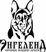 Питомник и дрессировочный центр "ENGELEND" Казань лого
