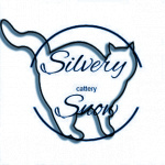 Питомник британских кошек Silvery Snow Казань лого