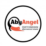 Абиангел Казань лого