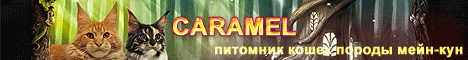 Caramel питомник мейн кунов Казань лого