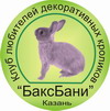 Клуб любителей декоративных кроликов "БаксБани" Казань лого