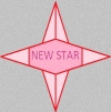 Питомник мейн кунов New Star Казань лого