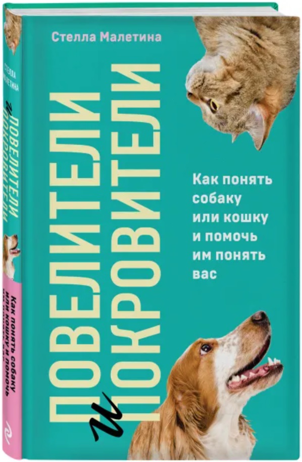 Моя книга