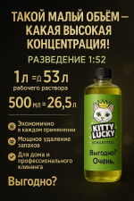 RE: Кот не понимает,что делать с кошкой