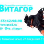 Первый ветеринарный центр витагор Казань: 